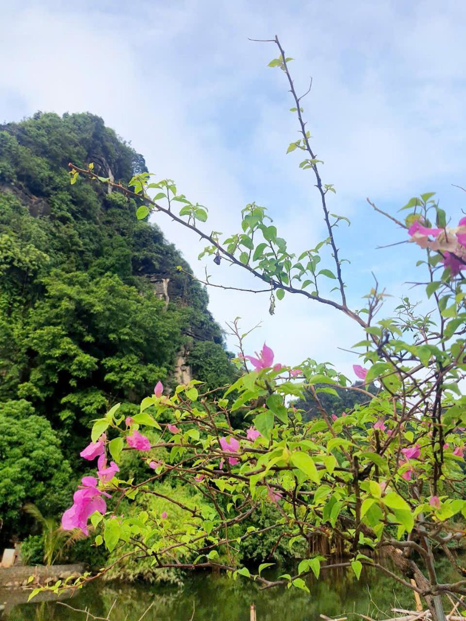 Trang An Hana Homestay Nguyen Ngoai エクステリア 写真