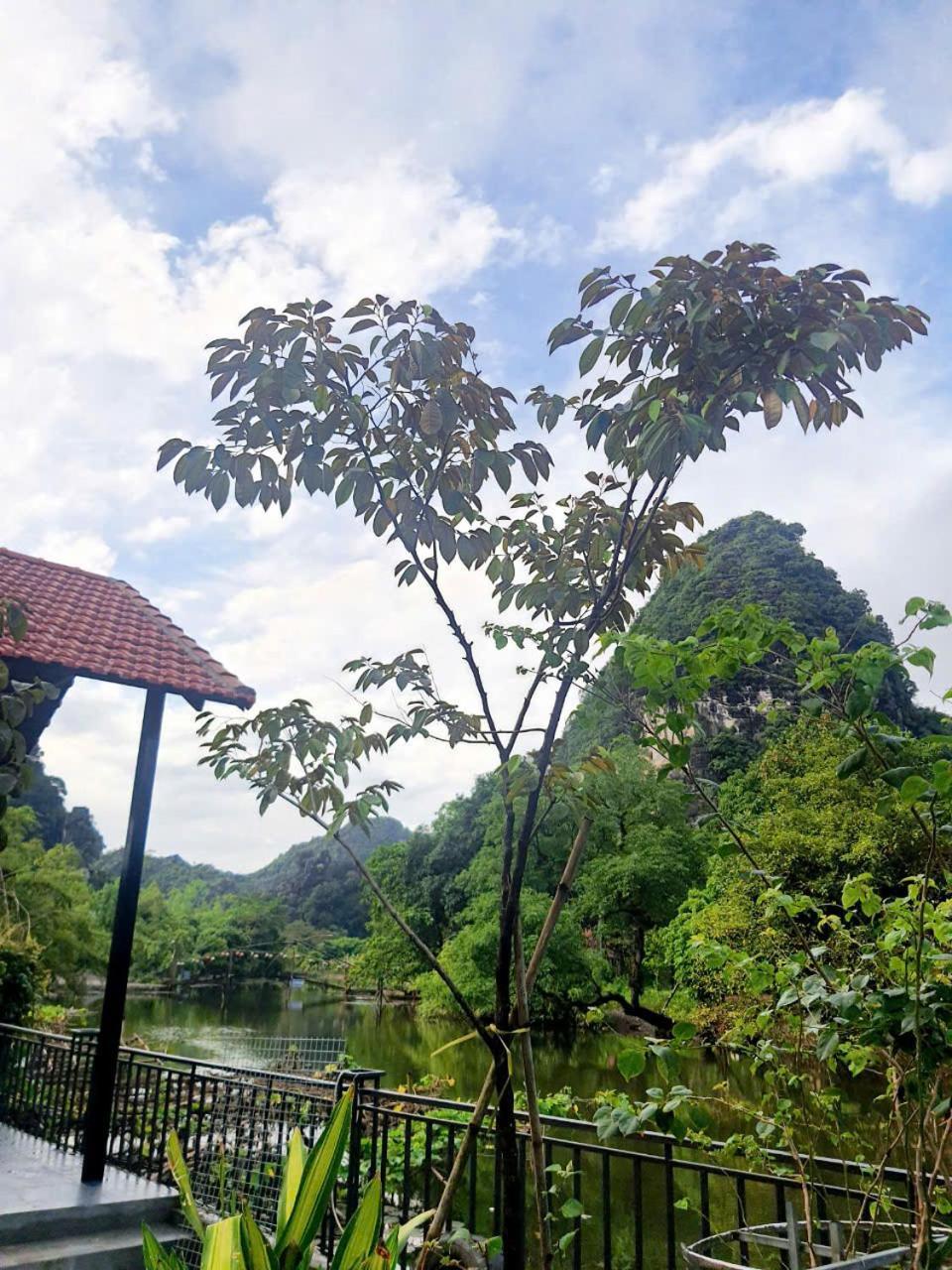 Trang An Hana Homestay Nguyen Ngoai エクステリア 写真