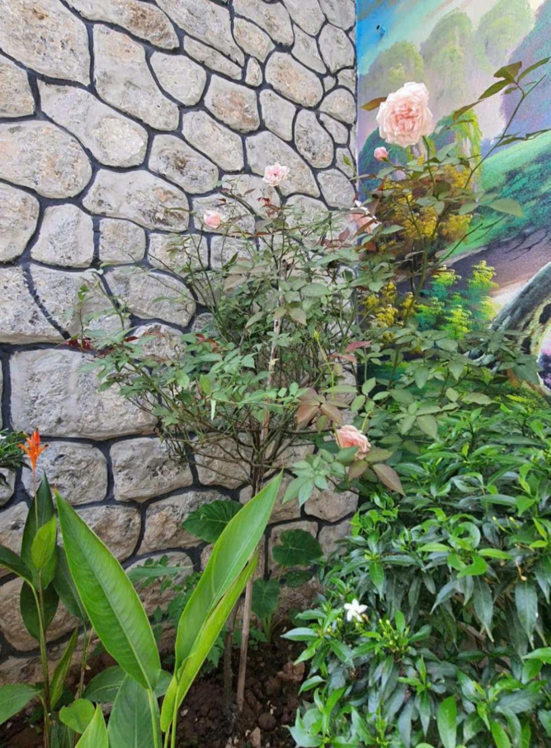 Trang An Hana Homestay Nguyen Ngoai エクステリア 写真