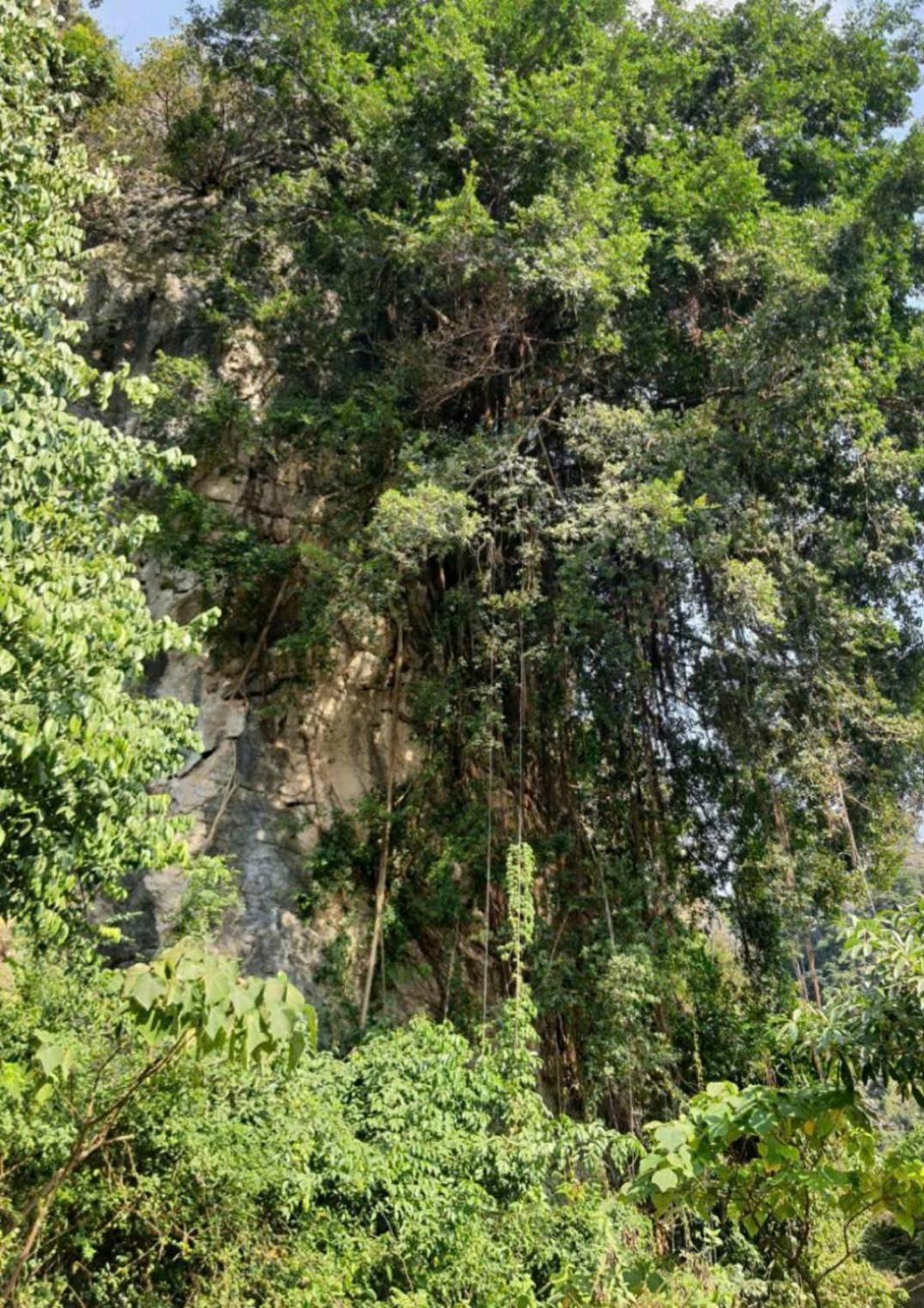 Trang An Hana Homestay Nguyen Ngoai エクステリア 写真