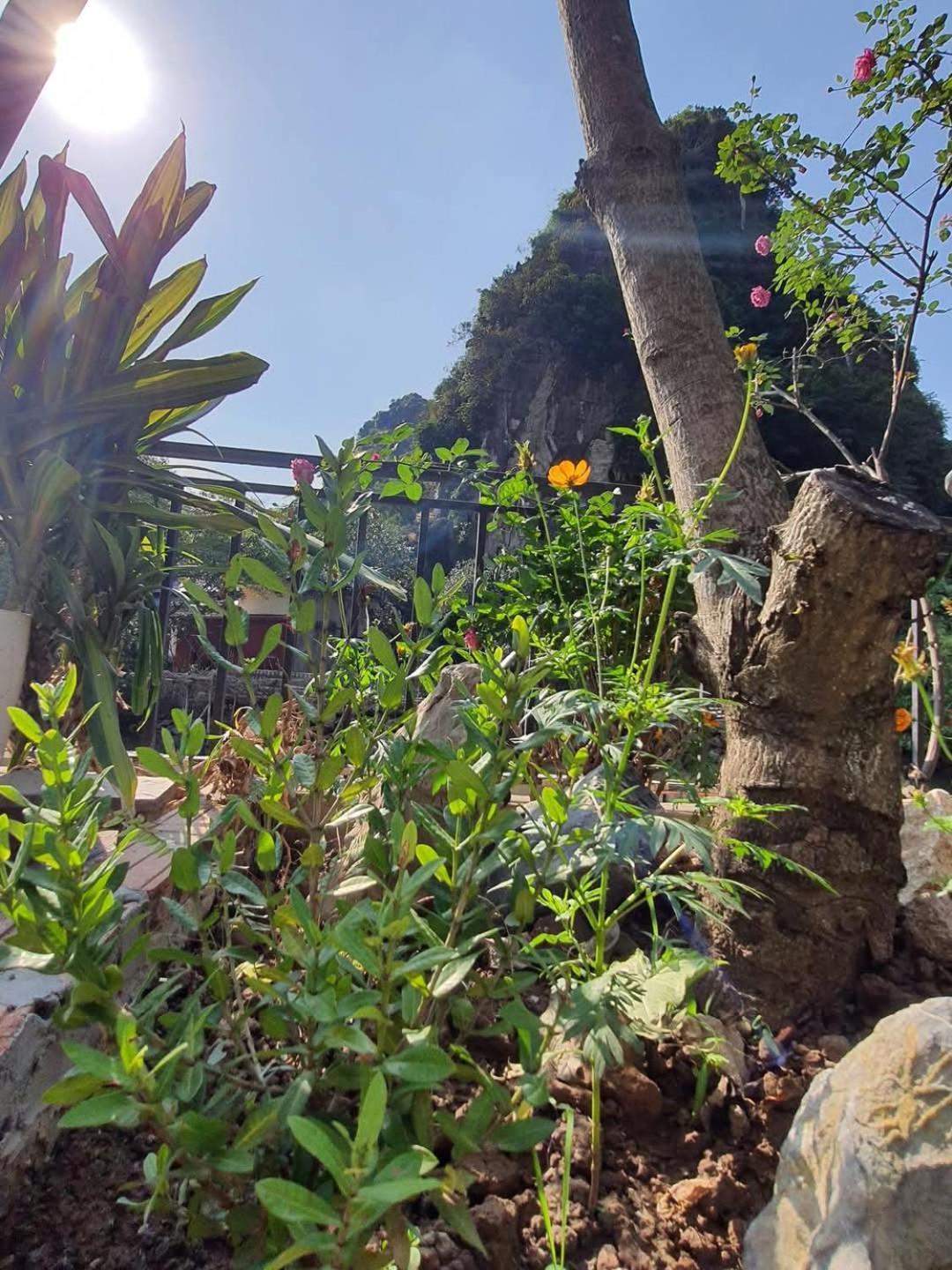 Trang An Hana Homestay Nguyen Ngoai エクステリア 写真