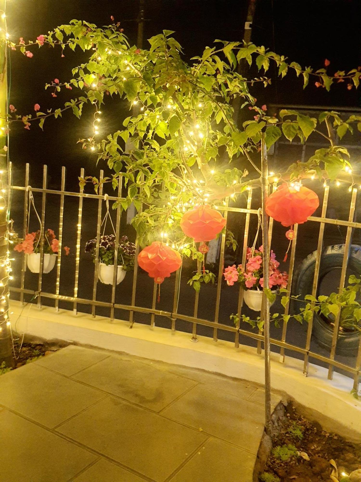 Trang An Hana Homestay Nguyen Ngoai エクステリア 写真