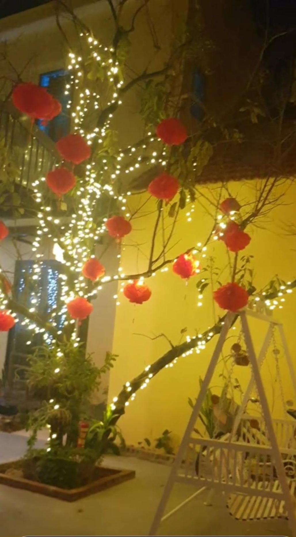 Trang An Hana Homestay Nguyen Ngoai エクステリア 写真