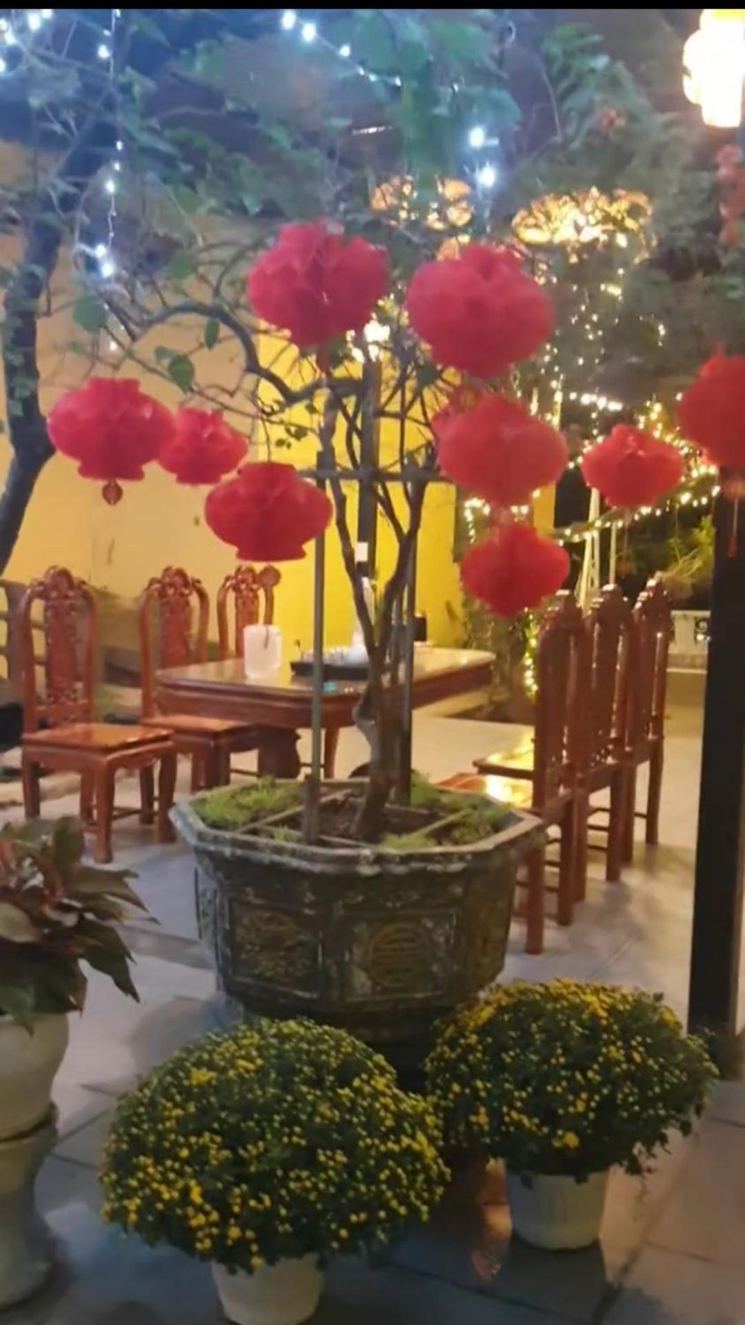 Trang An Hana Homestay Nguyen Ngoai エクステリア 写真
